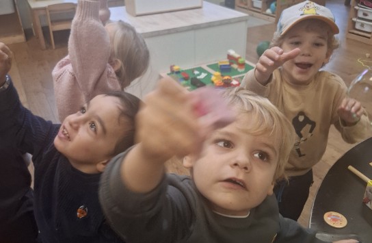 (vergroot foto)